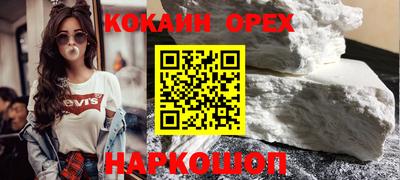 крисы Гатчина