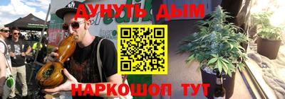 крисы Гатчина