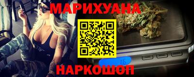 крисы Гатчина