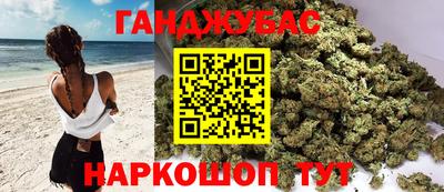 крисы Гатчина