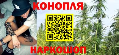 крисы Гатчина