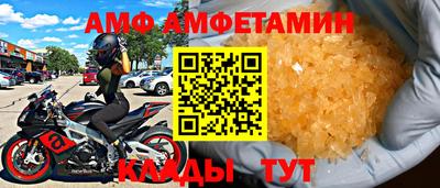 крисы Гатчина