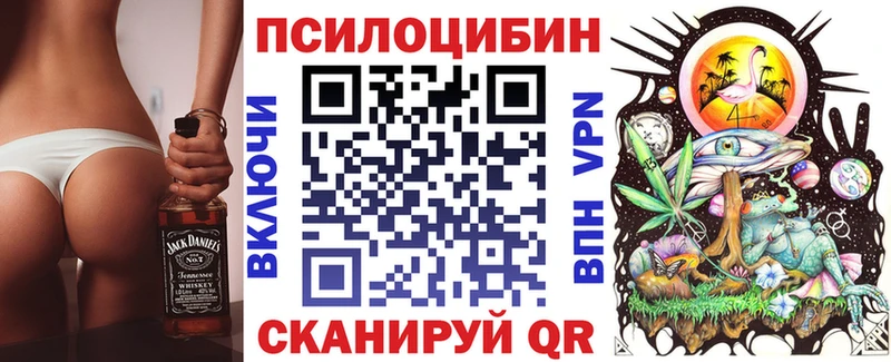 дарнет шоп  OMG   Галлюциногенные грибы Magic Shrooms  Ангарск 