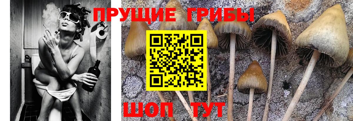 Псилоцибиновые грибы MAGIC MUSHROOMS Ангарск