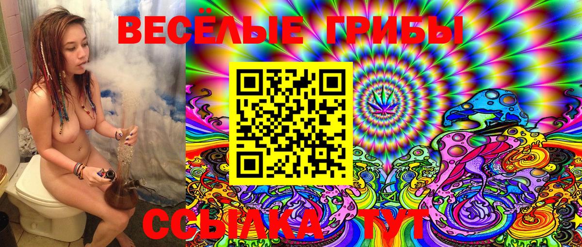 Псилоцибиновые грибы GOLDEN TEACHER  Ангарск  Псилоцибиновые грибы Psilocybine cubensis 