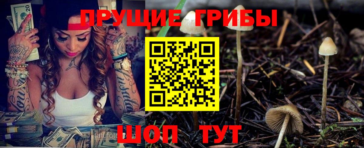 Псилоцибиновые грибы прущие грибы Ангарск