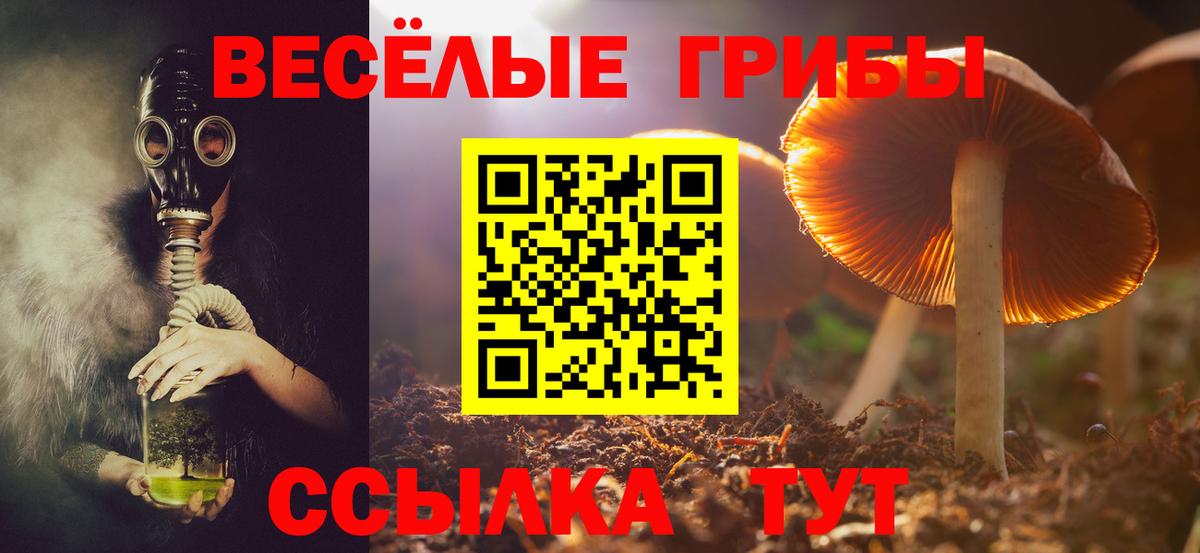Галлюциногенные грибы ЛСД  Галлюциногенные грибы GOLDEN TEACHER  Вход с VPN  Ангарск 